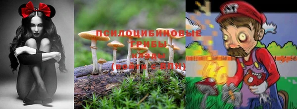 а пвп мука Балабаново